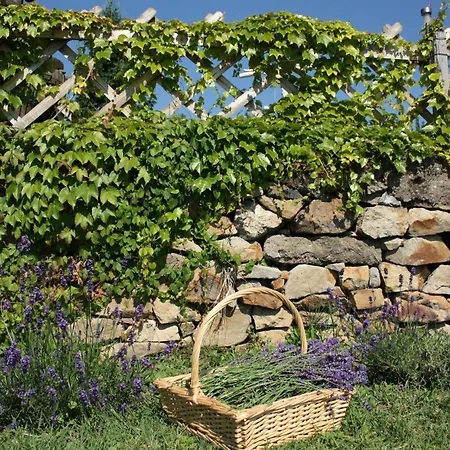 Georgina Panorámás - Bacchus Badacsony Apartamento *